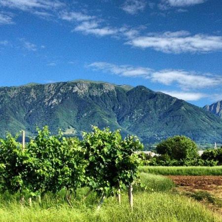 Montegrappa Dream Daire Crespano del Grappa Dış mekan fotoğraf